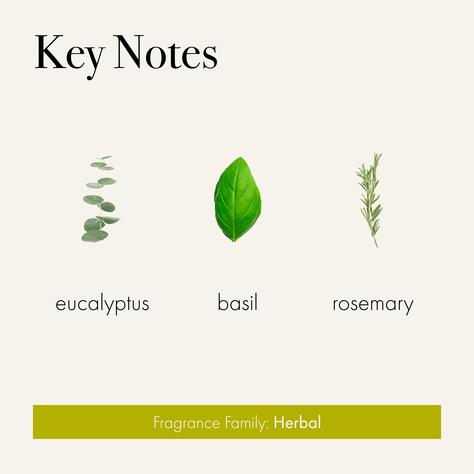 Foto 3 | Recarga De Difusor Inteligente Lafco New York Pura Rosemary Eucalyptus - Venta Internacional.