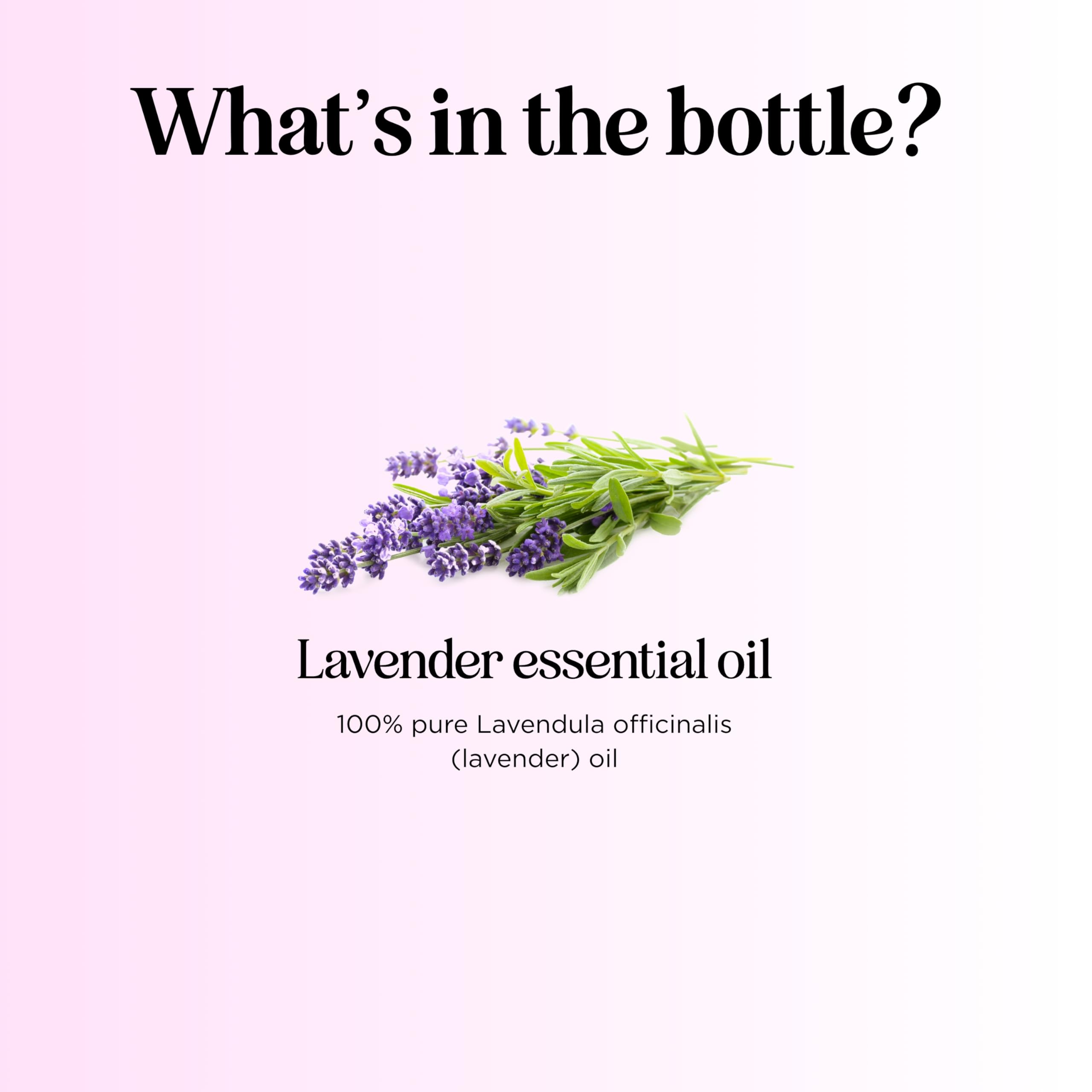 Foto 4 | Aceite Esencial Maple Holistics Pure Lavender 120 Ml Para Difusor - Venta Internacional.