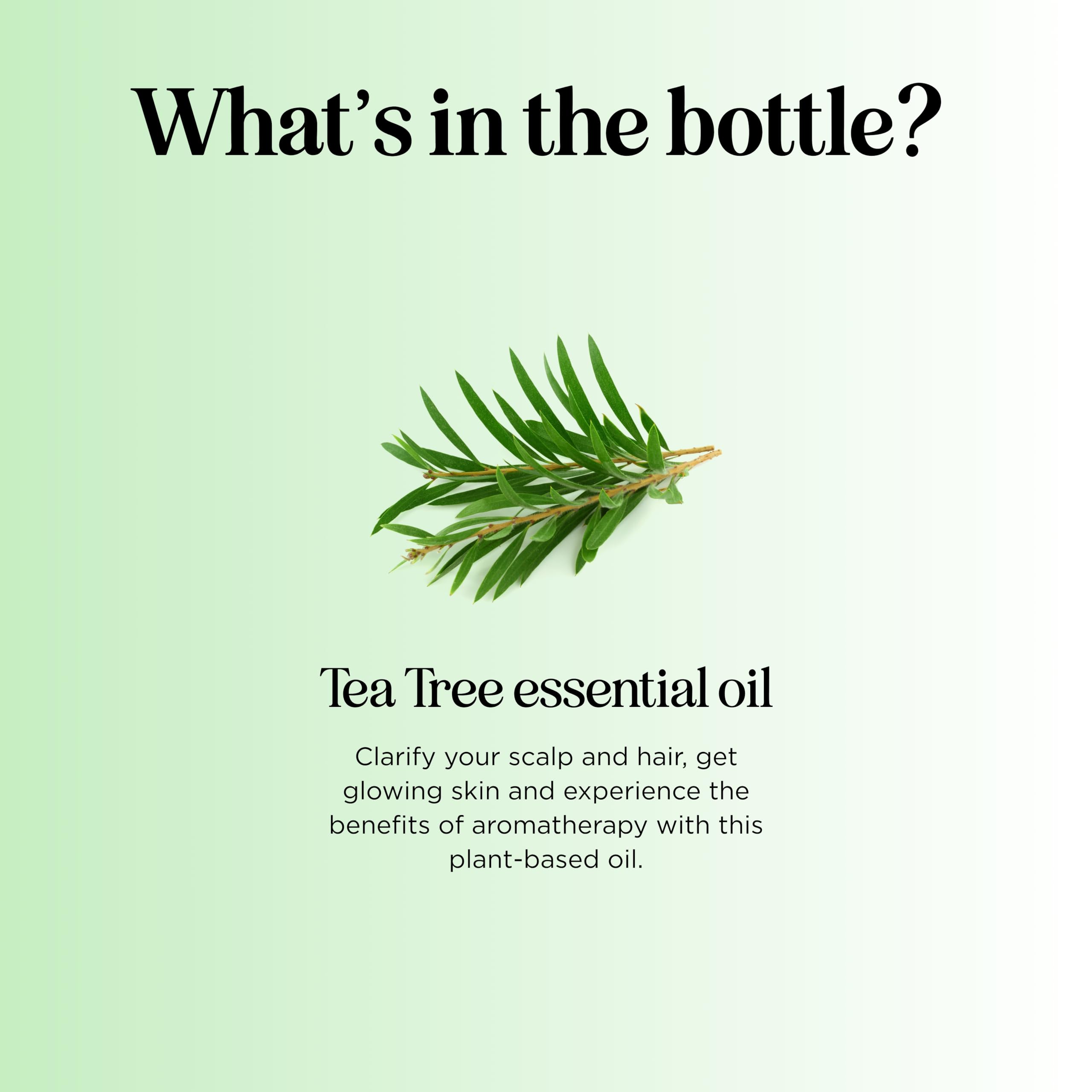 Foto 5 pulgar | Aceite Esencial De Árbol De Té Maple Holistics  120 Ml  100% Puro - Venta Internacional.
