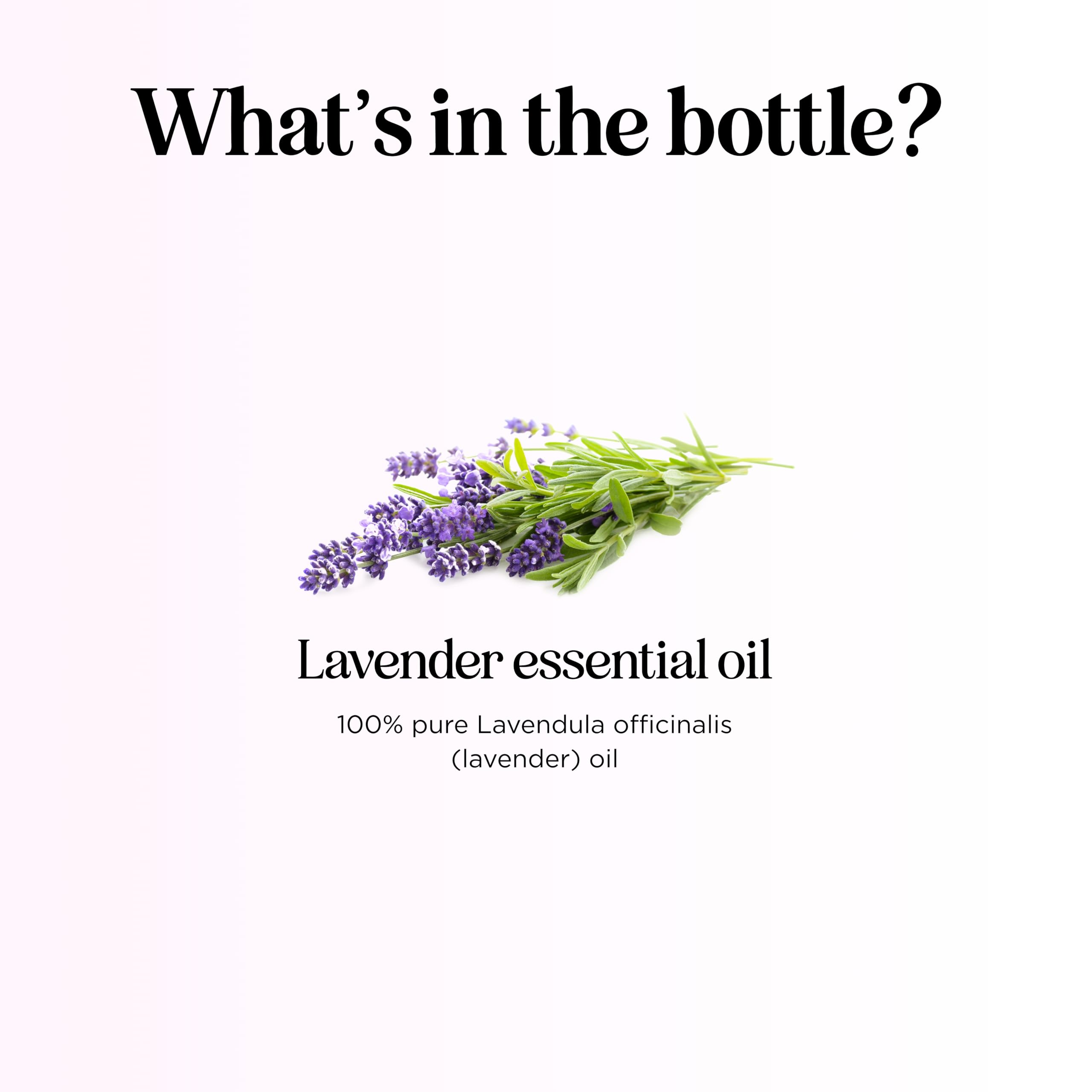 Foto 5 pulgar | Aceite Esencial Maple Holistics Pure Lavender 30 Ml - Venta Internacional.