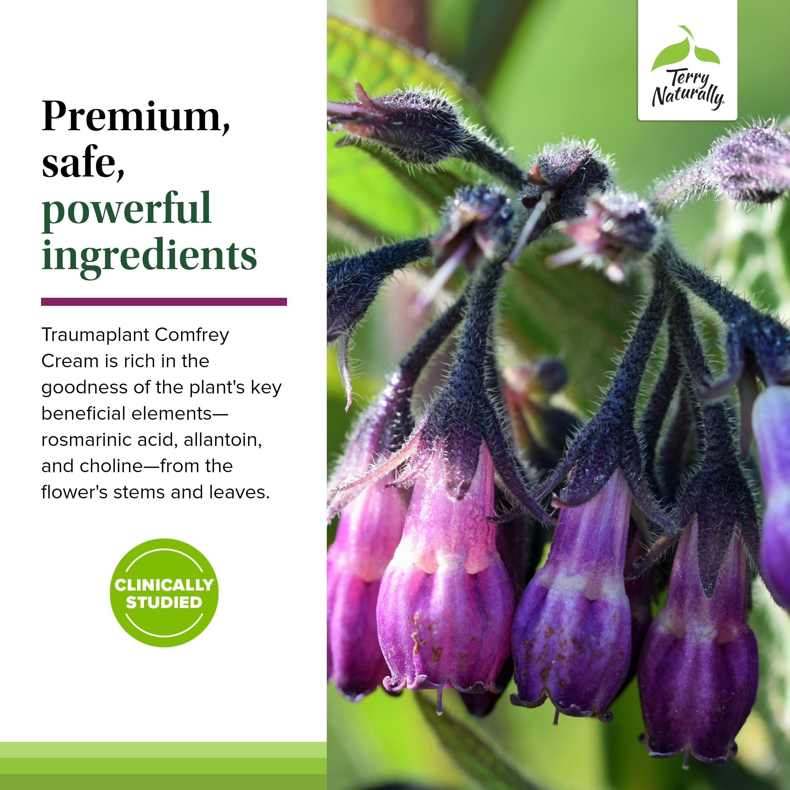 Foto 6 pulgar | Cream Terry Naturally Traumaplant Comfrey 50 Ml (paquete De 2) - Venta Internacional.
