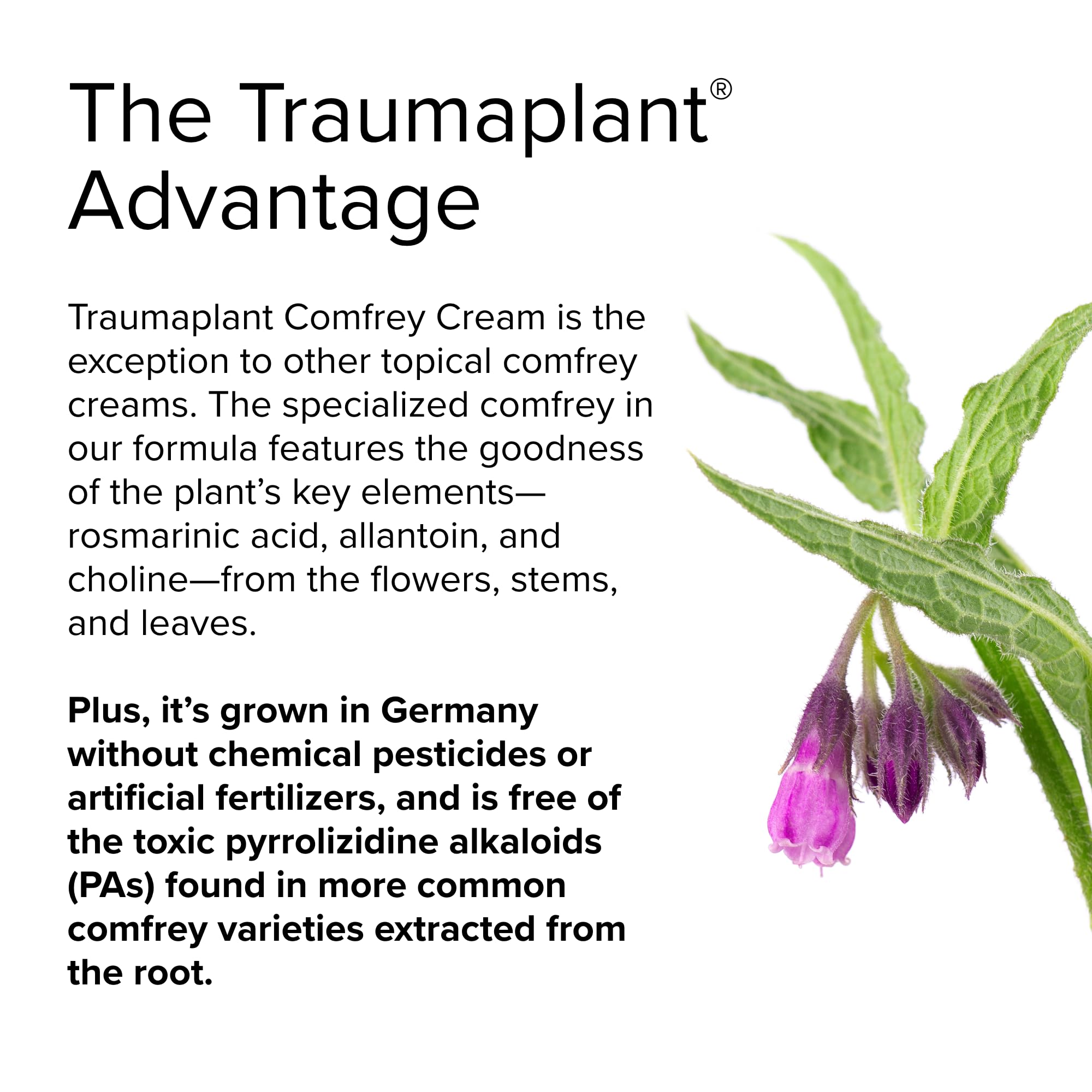 Foto 6 pulgar | Crema Terry Naturally Traumaplant Comfrey Travel 50 Ml - Venta Internacional.