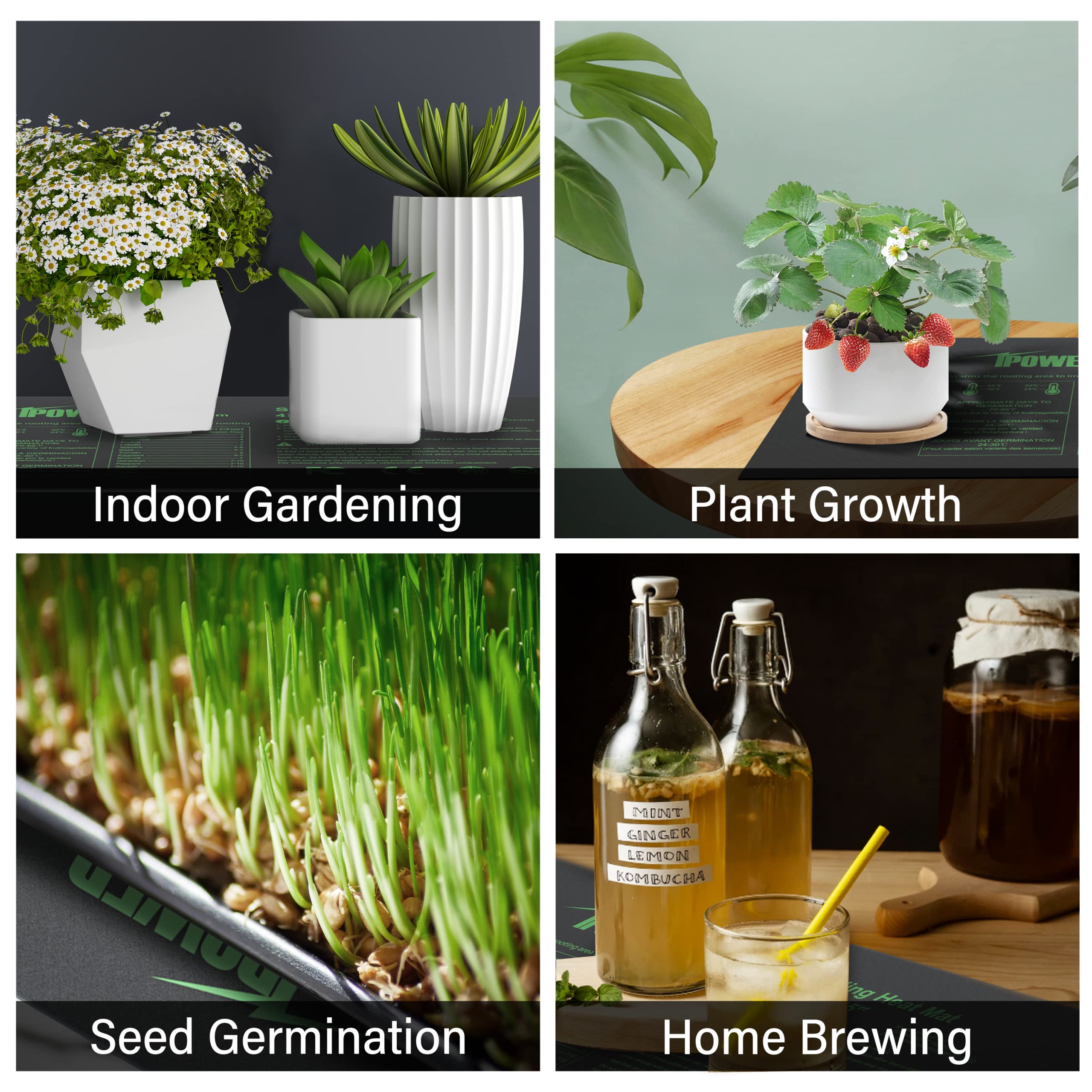 Foto 7 | Alfombrilla Térmica Ipower De Seedling Con Doble Temperatura Digital, 48 X 20 - Venta Internacional.
