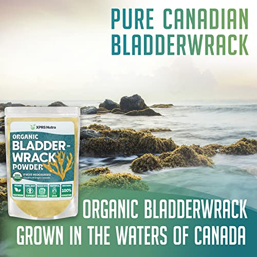 Foto 2 | Suplemento Xprs Nutra Bladderwrack En Polvo De 250 Ml Con Yodo - Venta Internacional.