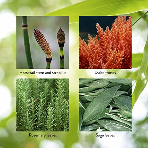 Foto 6 pulgar | Suplemento Nature's Sunshine Hsn-w 100 Cápsulas - Venta Internacional.