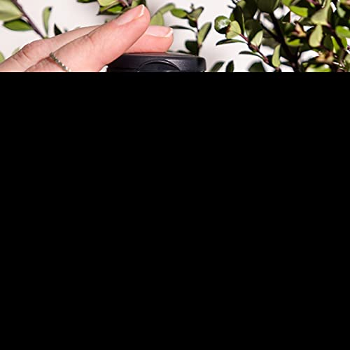 Foto 3 pulgar | Suplemento Nature's Sunshine Gaba Plus 60 Cápsulas - Venta Internacional.
