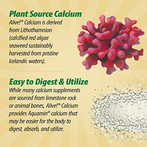 Foto 8 pulgar | ¡complementa Nature's Way Alive! Calcium Bone Support, 120 Tabletas - Venta Internacional.