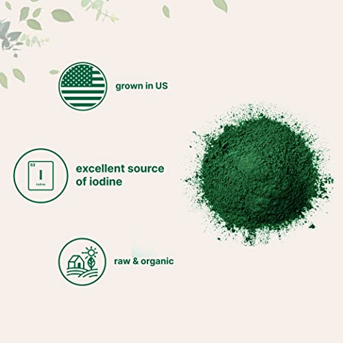 Foto 3 | Suplemento Orgánico En Polvo De Algas Marinas Con Microingredientes, 454 G - Venta Internacional.