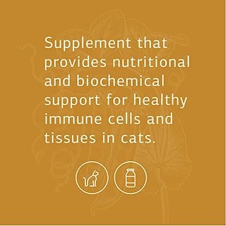 Foto 3 | Suplemento Standard Process Feline Immune System 90 Comprimidos - Venta Internacional.