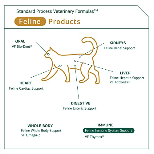 Foto 6 pulgar | Suplemento Standard Process Feline Immune System 90 Comprimidos - Venta Internacional.