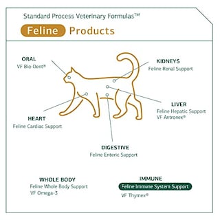 Foto 5 | Suplemento Standard Process Feline Immune System 90 Comprimidos - Venta Internacional.