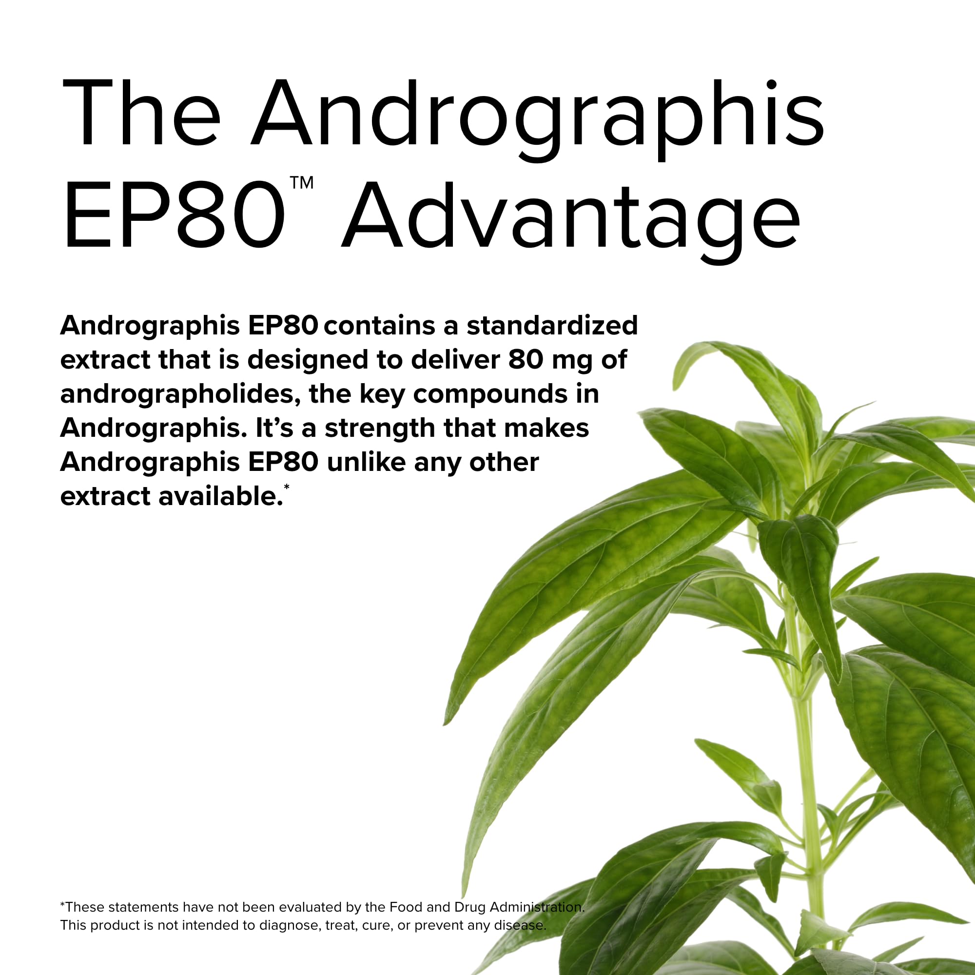 Foto 7 pulgar | Suplemento Terry Naturally Andrographis Ep80 Extra Strength - Venta Internacional.