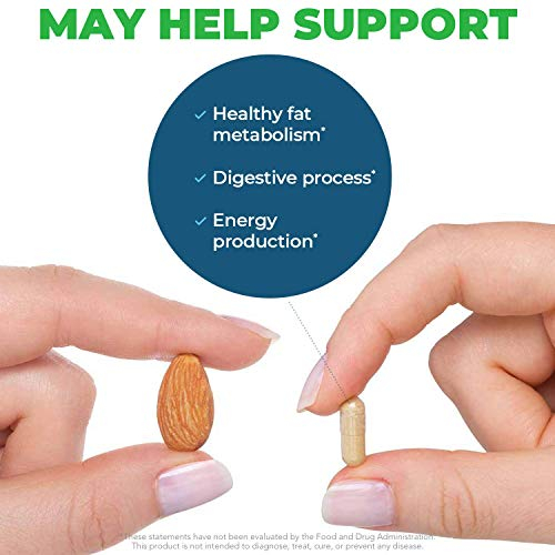 Foto 5 pulgar | Suplemento Seeking Health Ox Bile 125 Mg 120 Cápsulas Vegetarianas - Venta Internacional.