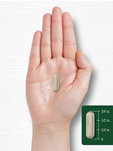 Foto 8 pulgar | Suplemento Carlyle Rosemary 1200 Mg 400 Cápsulas Sin Ogm - Venta Internacional.