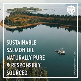 Foto 7 | Suplemento New Chapter Wholemega Wild Alaskan Salmon Oil 180 - Venta Internacional.