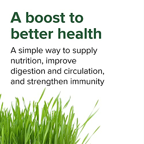 Foto 3 | Superalimento En Polvo Vibrant Health Green Vibrance 60 Porciones - Venta Internacional.