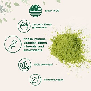 Foto 3 | Microingredientes De Hierba De Trigo En Polvo, 300 Ml, 100% Orgánico - Venta Internacional.