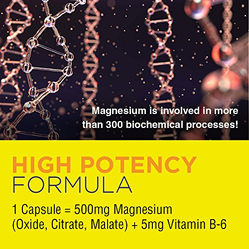 Foto 4 pulgar | Suplemento De 500 Mg De Magnesio De Nature's Life Para Huesos Y Músculos - Venta Internacional.