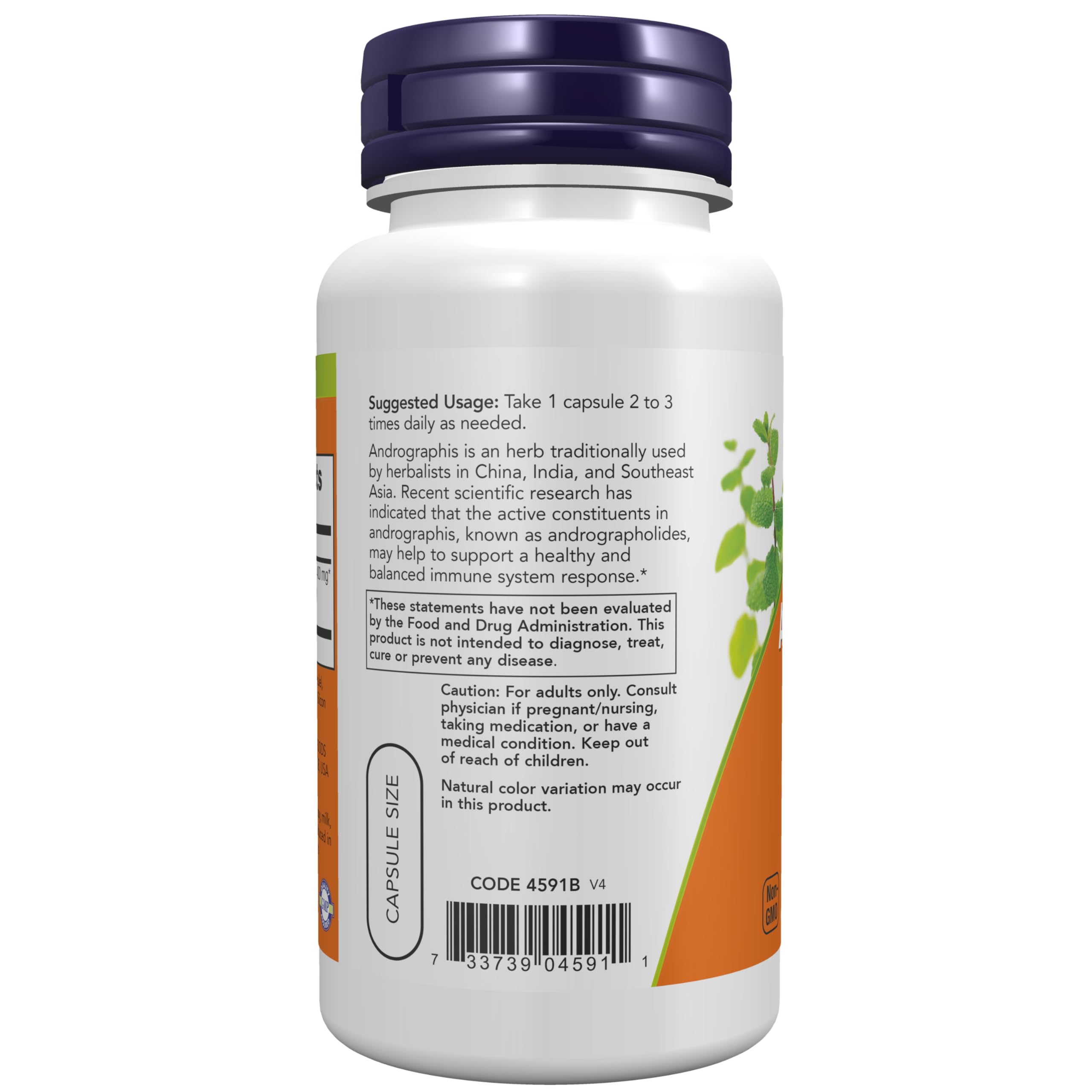 Foto 4 pulgar | Suplemento Now: Extracto De Andrographis, 400 Mg, 90 Cápsulas Vegetarianas - Venta Internacional.