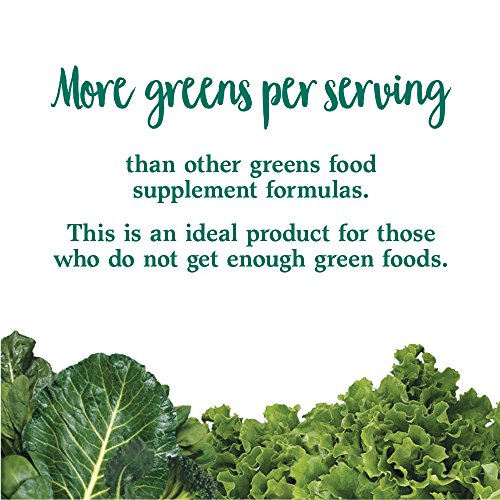 Foto 8 pulgar | Suplemento Dietético En Polvo Garden Of Life Whole Perfect Green - Venta Internacional