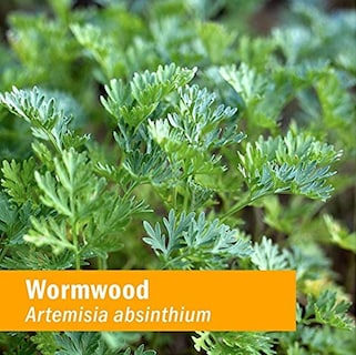 Foto 2 | Extracto Líquido De Ajenjo Herb Pharm 30 Ml Para Ayudar A La Digestión - Venta Internacional