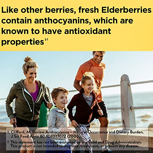 Foto 2 | Suplemento Dietético Nature Made Elderberry 400 Mg Con Vitamina C - Venta Internacional.