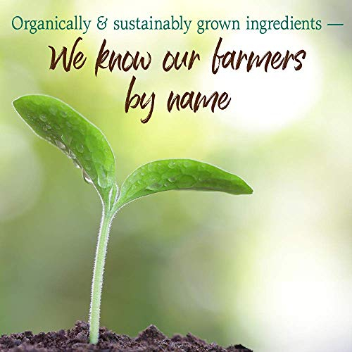 Foto 8 pulgar | Complemente El Chocolate Garden Of Life Raw Organic Perfect Food - Venta Internacional.