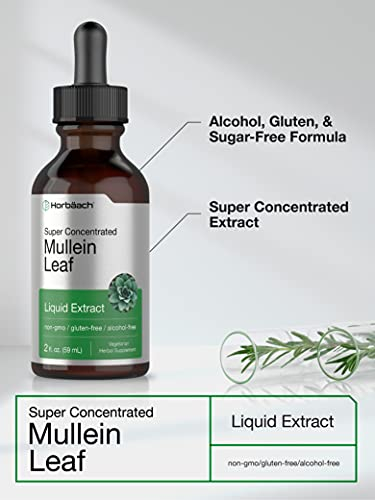 Foto 4 pulgar | Suplemento De Extracto Líquido De Hoja De Gordolobo De Horbaach, 60 Ml - Venta Internacional.