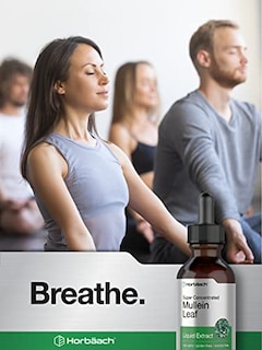 Foto 6 | Suplemento De Extracto Líquido De Hoja De Gordolobo De Horbaach, 60 Ml - Venta Internacional.