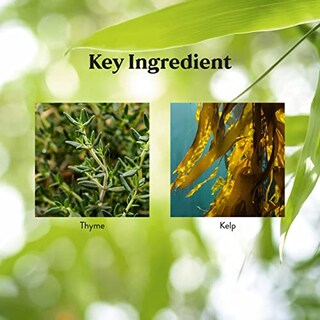 Foto 5 | Suplemento Nature's Sunshine Zinc 25 Mg 150 Comprimidos - Venta Internacional