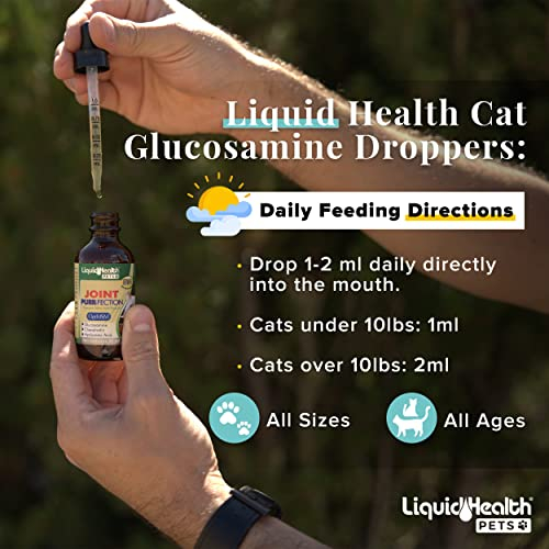 Foto 5 pulgar | Suplemento Liquidhealth Líquido De Glucosamina Para Gatos, 68 Ml, Para Articulaciones - Venta Internacional.