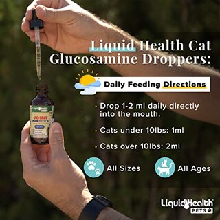Foto 4 | Suplemento Liquidhealth Líquido De Glucosamina Para Gatos, 68 Ml, Para Articulaciones - Venta Internacional.