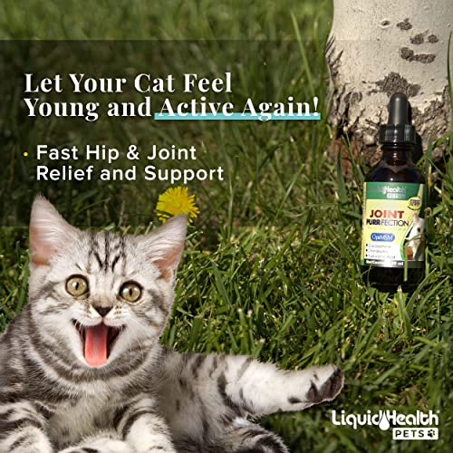 Foto 7 pulgar | Suplemento Liquidhealth Líquido De Glucosamina Para Gatos, 68 Ml, Para Articulaciones - Venta Internacional.