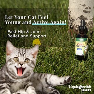 Foto 6 | Suplemento Liquidhealth Líquido De Glucosamina Para Gatos, 68 Ml, Para Articulaciones - Venta Internacional.