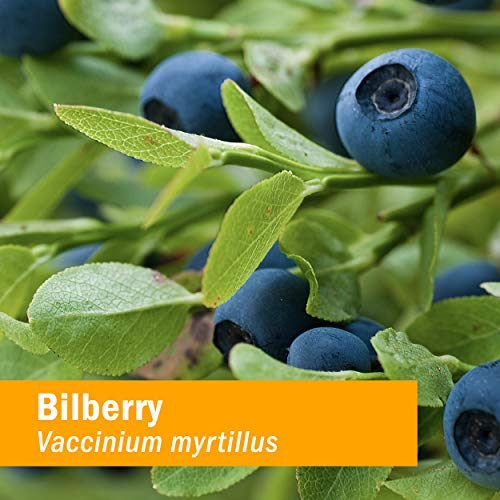 Foto 3 pulgar | Extracto Líquido Herb Pharm Bilberry Para Visión Ocular 120 Ml - Venta Internacional.