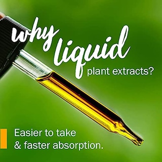Foto 3 | Extracto Líquido Herb Pharm Bilberry Para Visión Ocular 120 Ml - Venta Internacional.