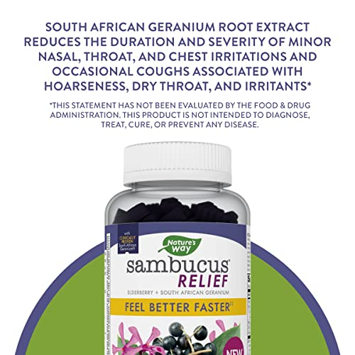 Foto 4 pulgar | Suplemento Nature's Way Sambucus Relief Gommies 60 Unidades - Venta Internacional.