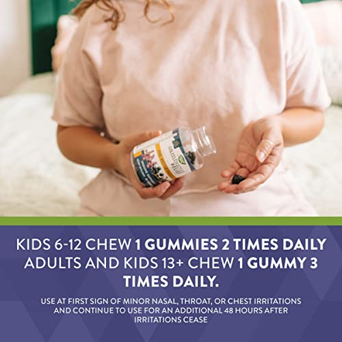 Foto 6 pulgar | Suplemento Nature's Way Sambucus Relief Gommies 60 Unidades - Venta Internacional.