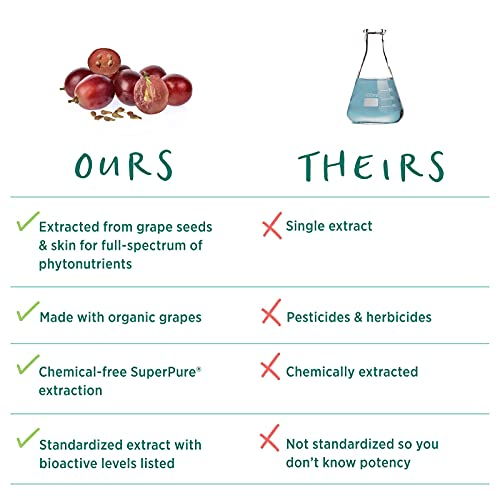 Foto 4 | Suplemento De Extracto De Semilla De Uva Superpure De Pure Synergy 60 Cápsulas - Venta Internacional.