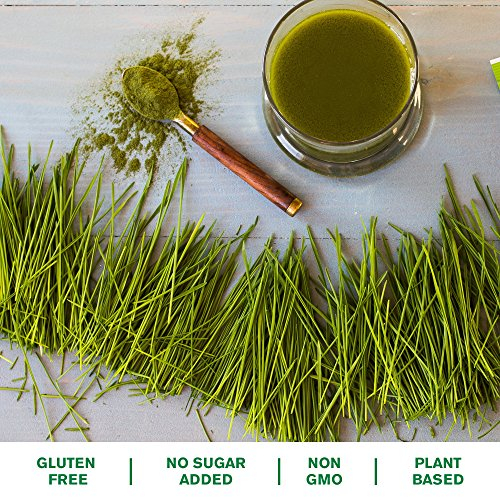 Foto 3 | Hierba De Trigo En Polvo Amazing Grass, 100 Porciones - Venta Internacional.
