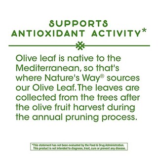 Foto 7 | Suplemento Nature's Way Olive Leaf 1500 Mg 100 Cápsulas - Venta Internacional.