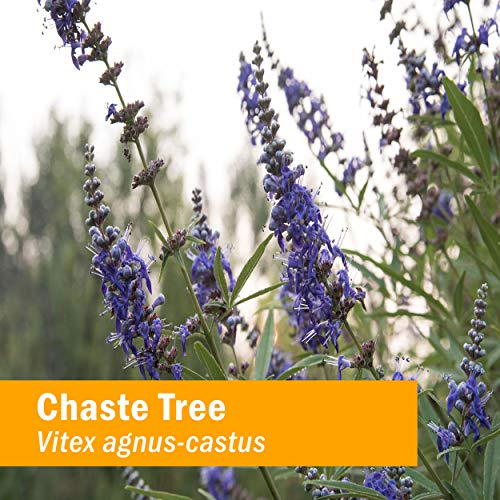 Foto 2 | Extracto Líquido Herb Pharm Chaste Tree, 30 Ml, Soporte Femenino - Venta Internacional.