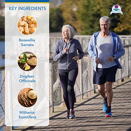 Foto 4 pulgar | Suplemento Ayush Herbs Boswelya Plus Joint Support 90 Comprimidos - Venta Internacional.