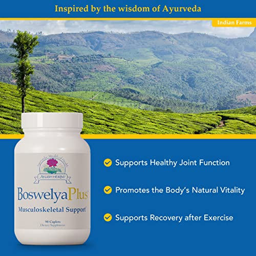 Foto 5 pulgar | Suplemento Ayush Herbs Boswelya Plus Joint Support 90 Comprimidos - Venta Internacional.