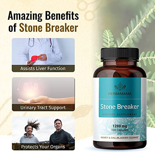 Foto 5 pulgar | Suplemento Herbamama Stone Breaker Chanca Piedra 1200 Mg 100  - Venta Internacional.