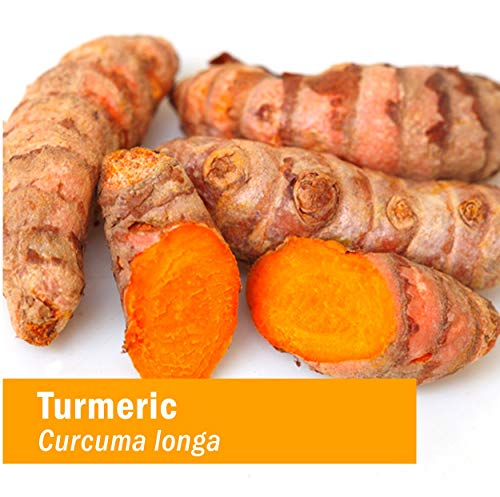 Foto 4 pulgar | Extracto Líquido De Raíz De Cúrcuma Orgánica Certificada Por Herb Pharm 12 - Venta Internacional.