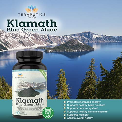 Foto 5 pulgar | Suplemento Teraputics Premium Klamath Blue Green Algae 500 Mg - Venta Internacional.