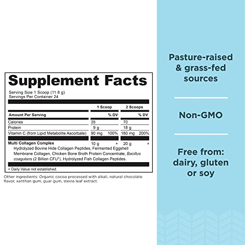 Foto 2 | Proteína De Colágeno En Polvo Ancient Nutrition Chocolate 300 Ml - Venta Internacional.