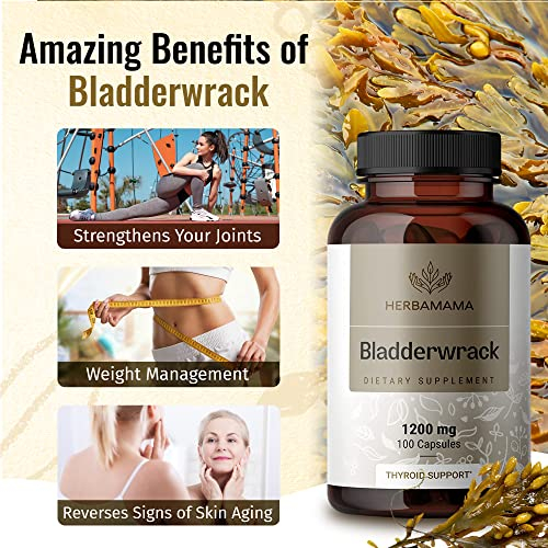 Foto 6 pulgar | Suplemento Herbamama Bladderwrack En Cápsulas 1200 Mg 100 Cápsulas - Venta Internacional.