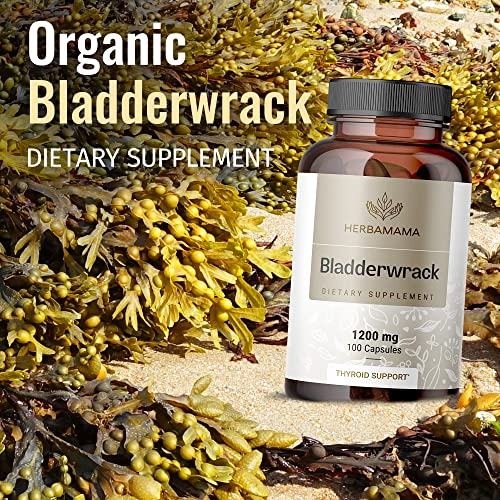 Foto 7 pulgar | Suplemento Herbamama Bladderwrack En Cápsulas 1200 Mg 100 Cápsulas - Venta Internacional.